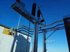 35kV3150A半絕緣銅管型WWW黄片下载